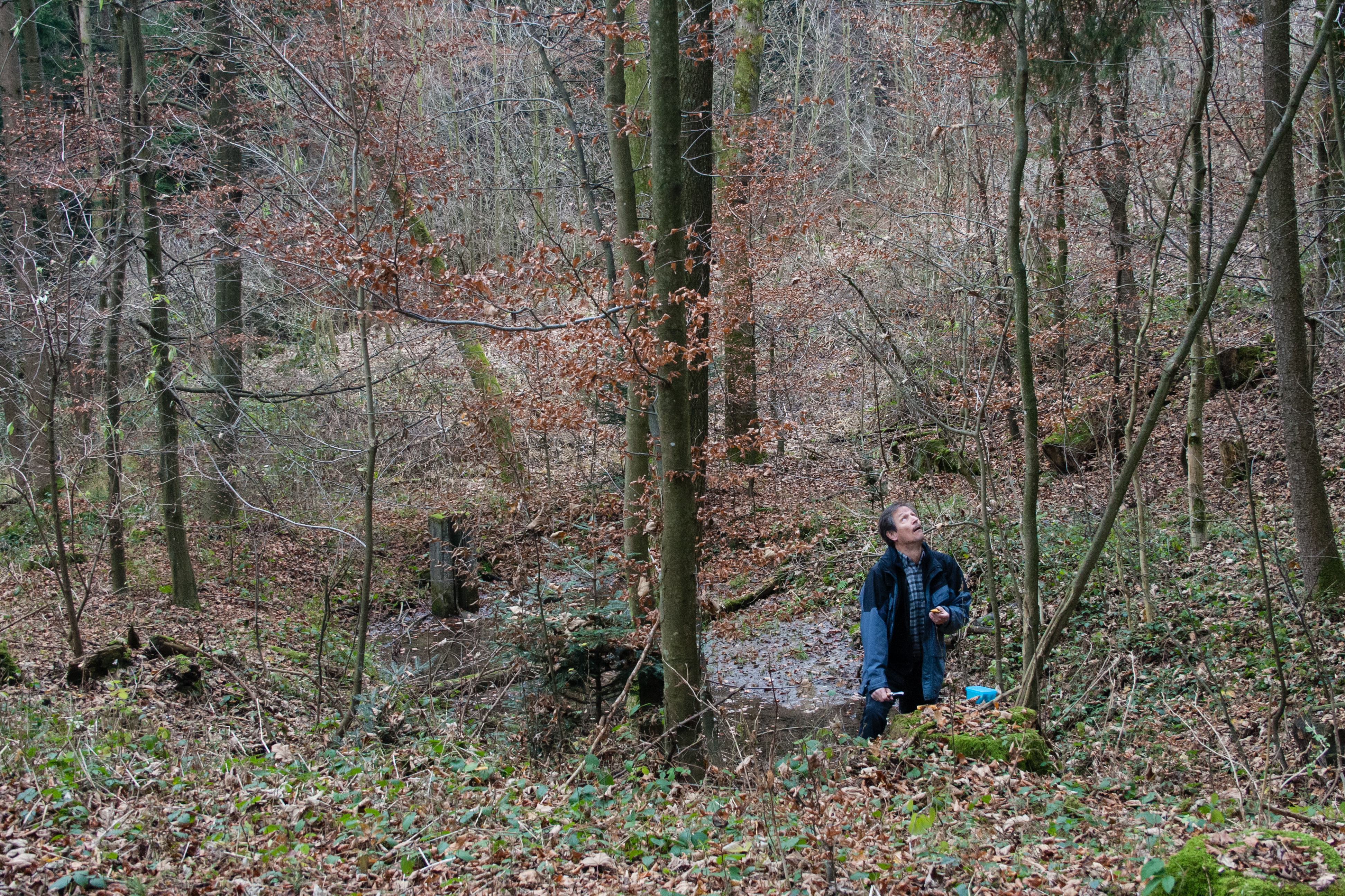 Fotografie